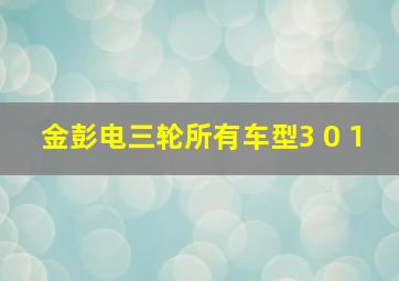 金彭电三轮所有车型3 0 1